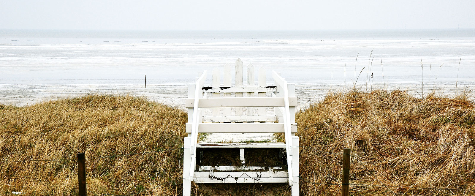 手机号轰在线轰炸免费下载