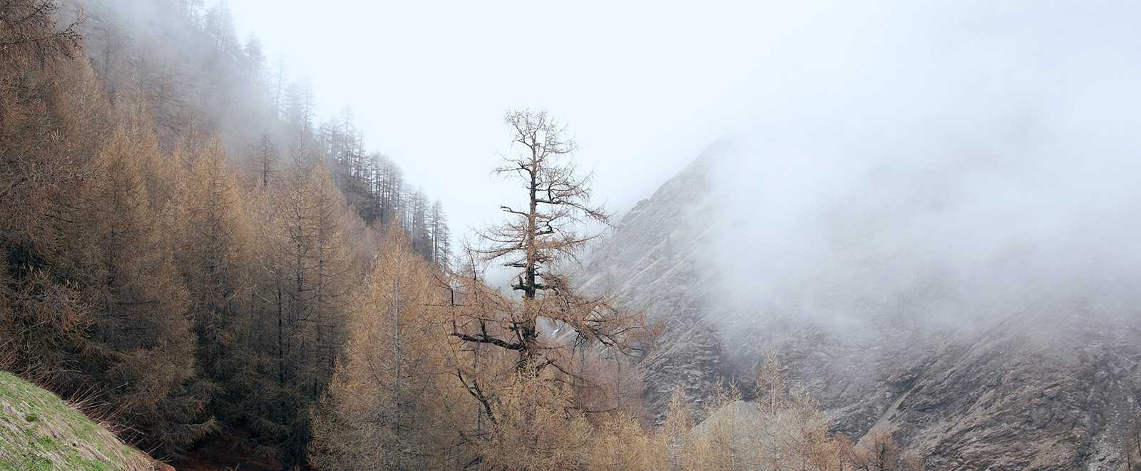 手机号群发平台