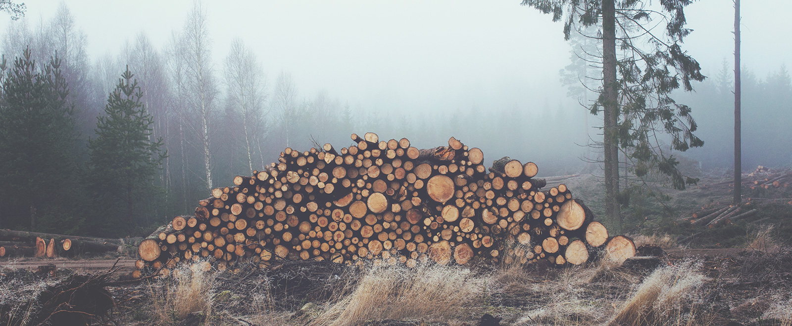 轰炸手机号软件